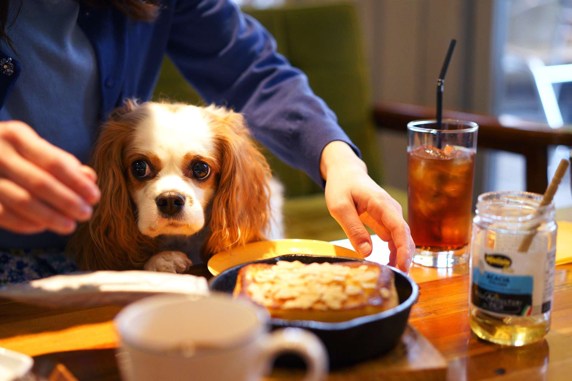 CAFE&REST Cherry with Dog