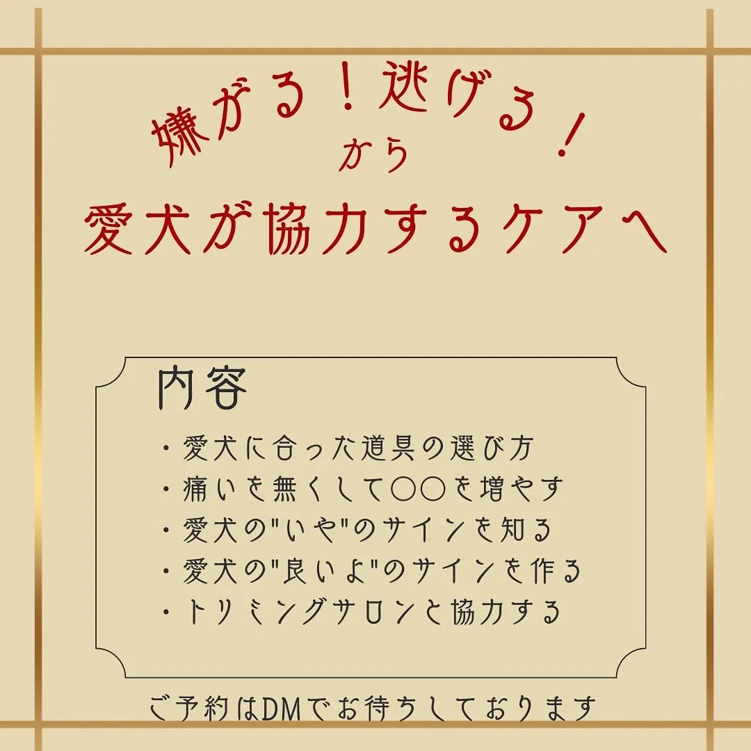 愛犬が協力してくれるケアの仕方セミナー開催