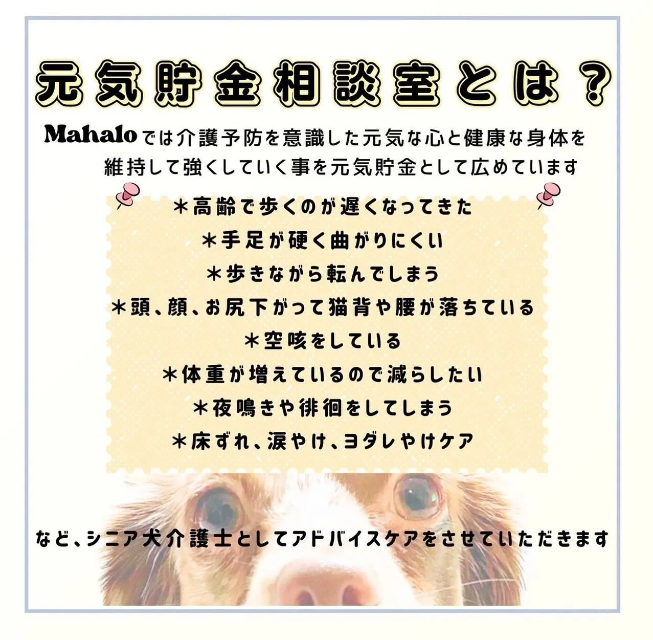 (ダイヤモンド)元気貯金相談室(ダイヤモンド)始まります(貯...