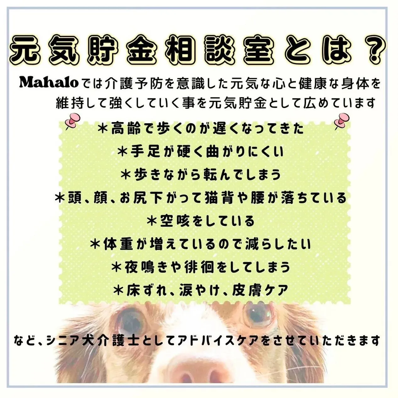 元気貯金相談室が始まります💴➧💳