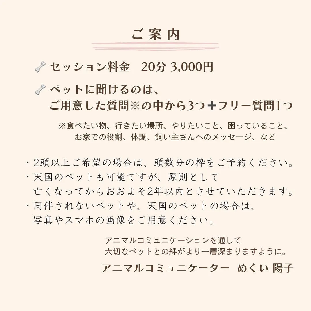 12月のアニマルコミュニケーションのお知らせ