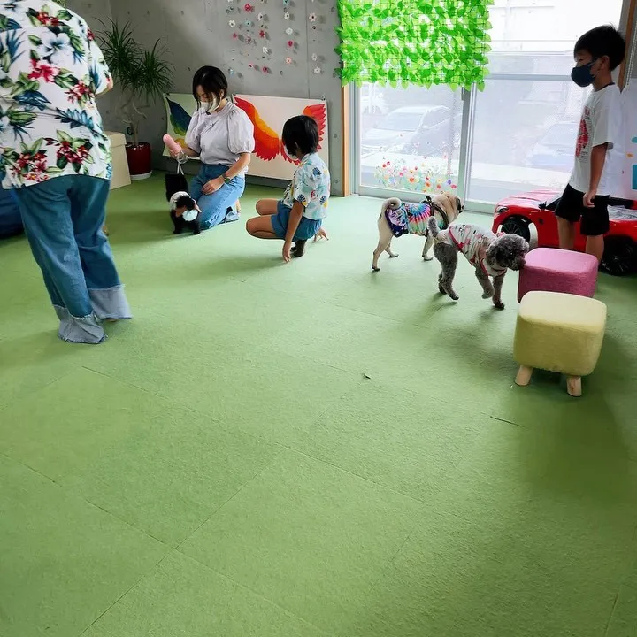 今日は、開店から保護犬ちゃんの里親会がありました🐶💓