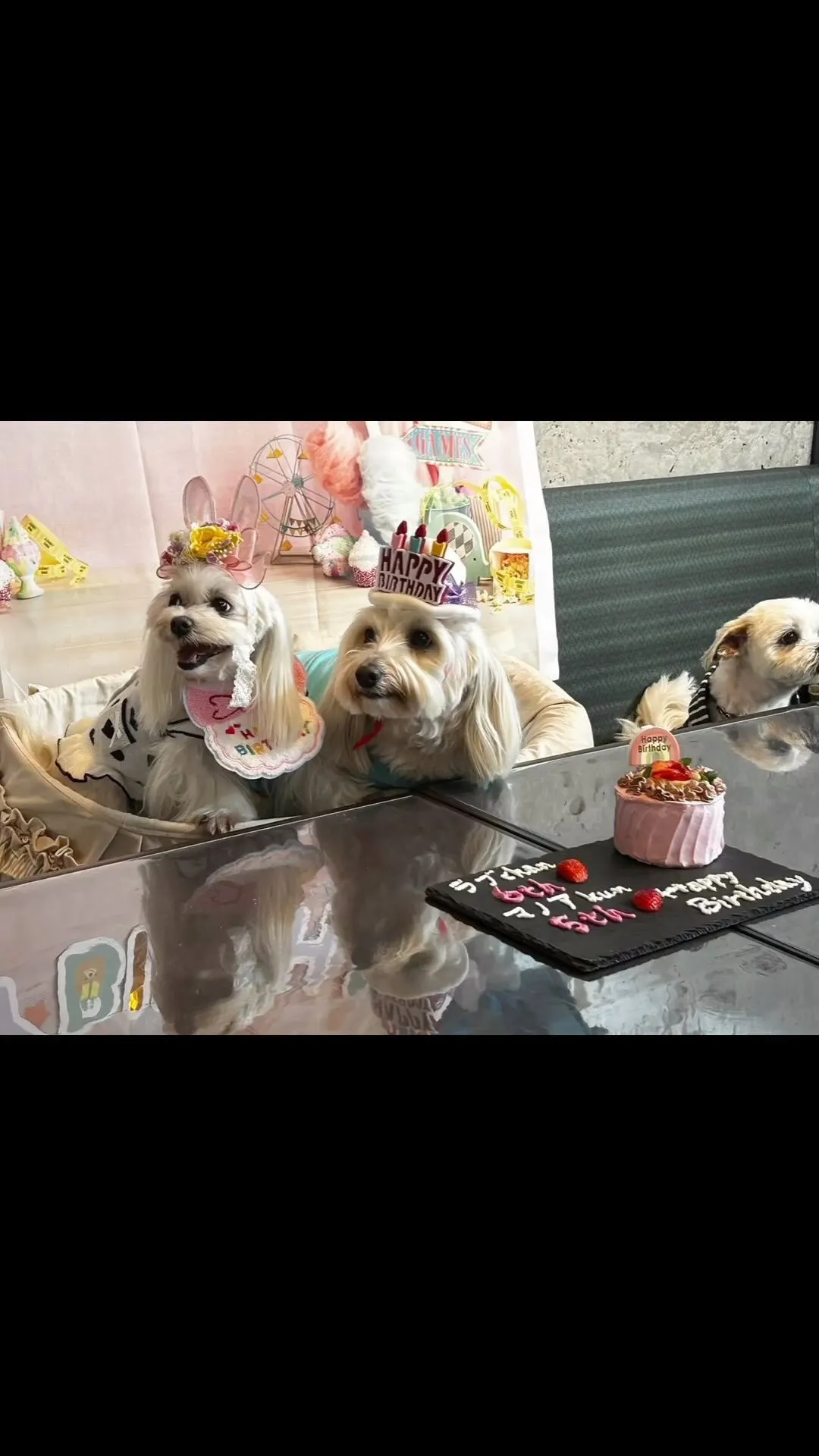 ここのところ、毎日のようにわんちゃん🐶のお誕生日会が開催され...